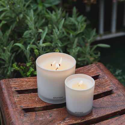 Santal Rock Rose 3-Wick Candle
