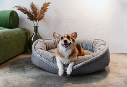 Furry Gray Bagel Pet Bed
