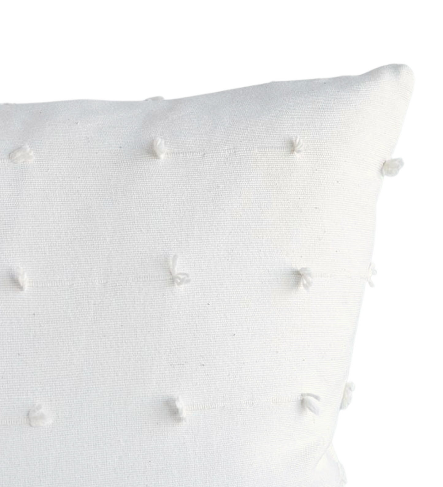 Teton Embroidered Pillow in Snow