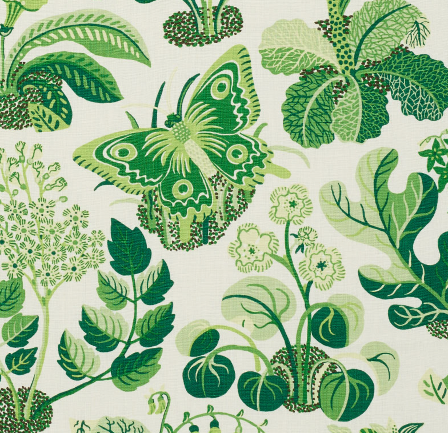 Exotic Butterfly Pillow in Leaf Green