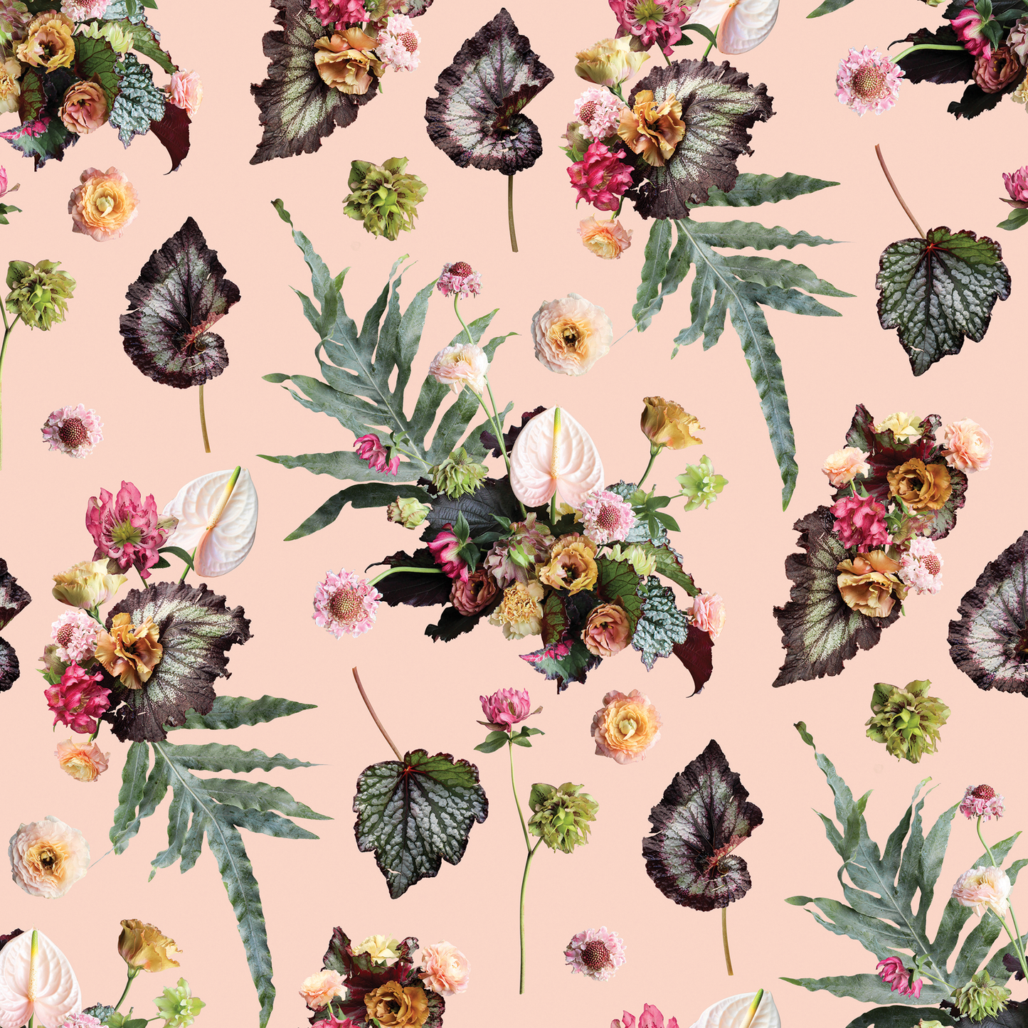 The Little Branch Wallpaper - Blush
