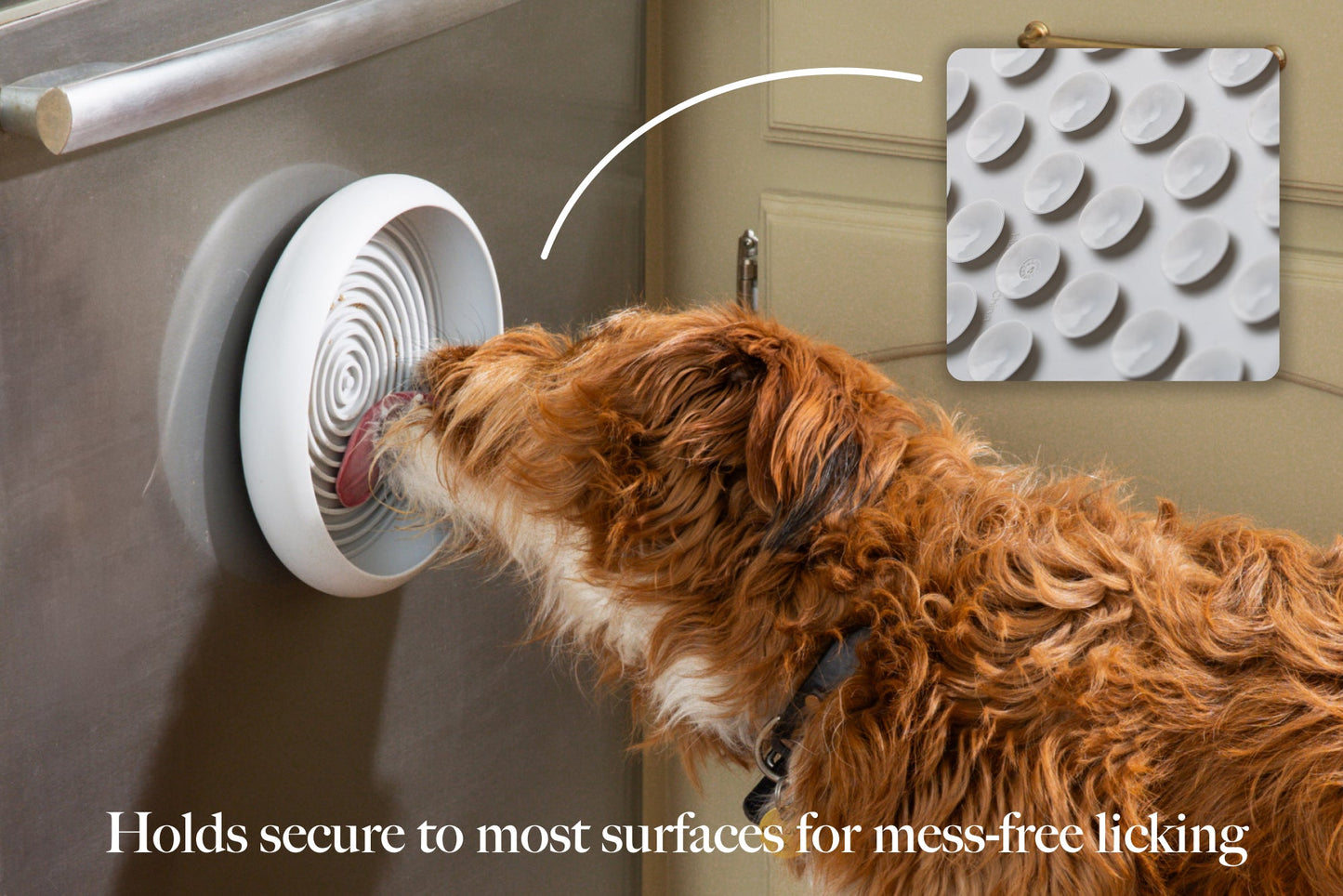 Enrichment Lick Mat & Food Bowl