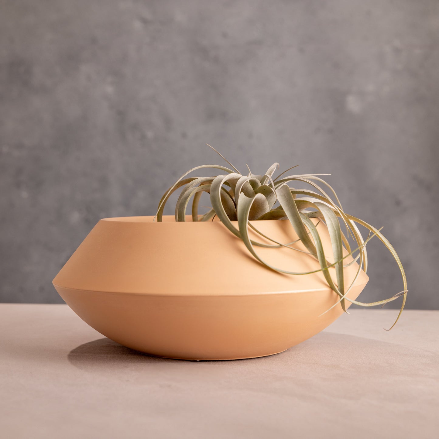 Utopia Bowl