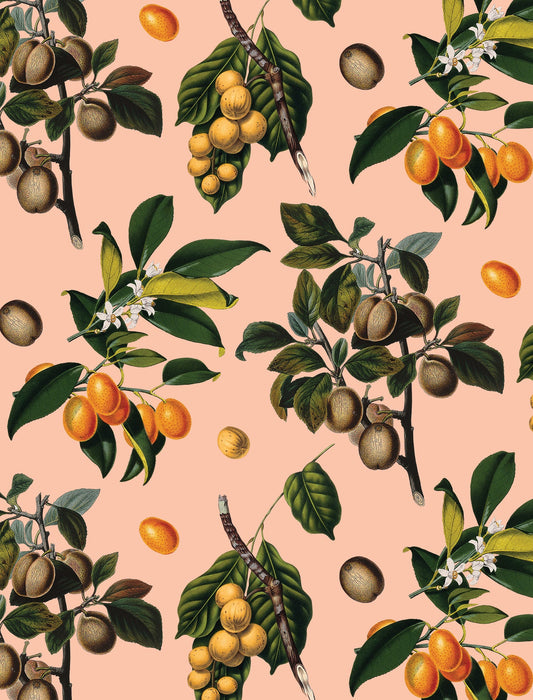 Vintage Orchard Wallpaper - Peach
