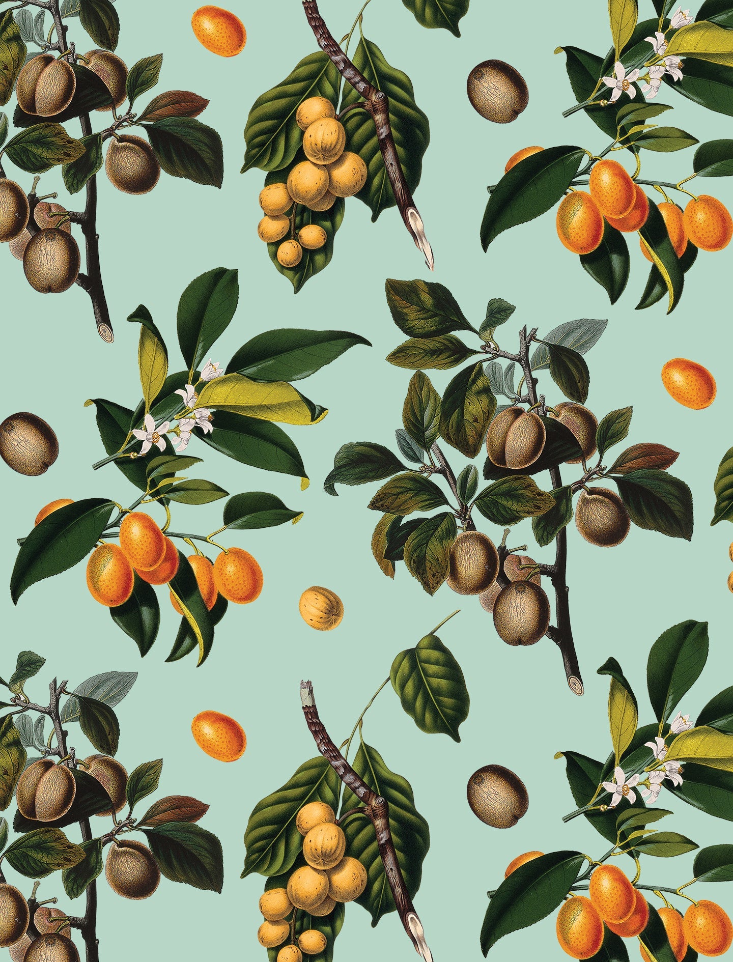 Vintage Orchard Wallpaper, robin egg