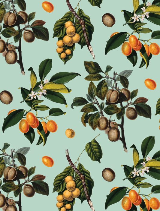 Vintage Orchard Wallpaper, robin egg