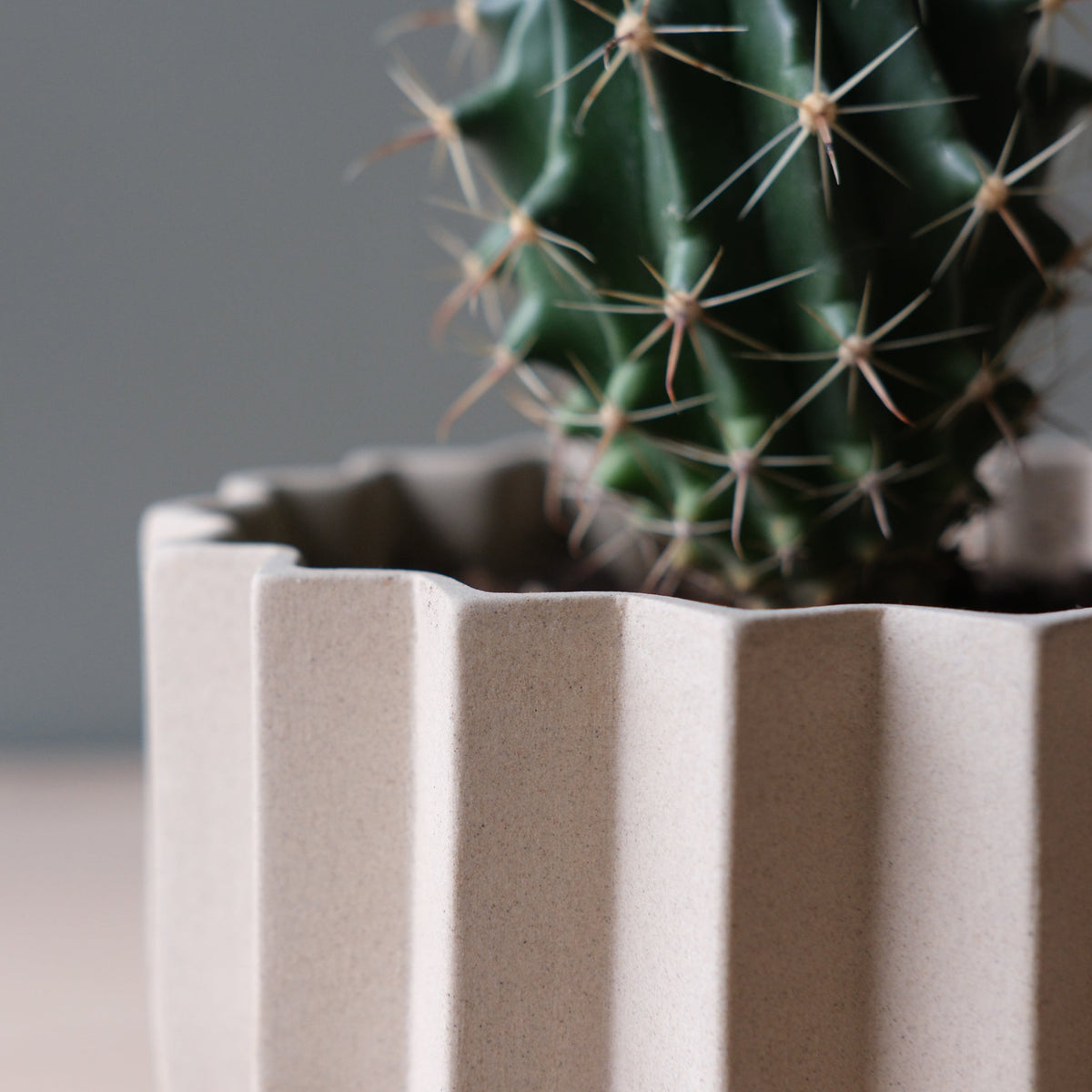Wrap Planter