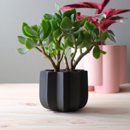 Wrap Planter