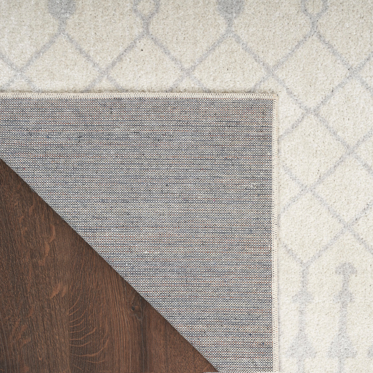 Nourison Astra Ivory Pet Friendly Machine Washable Rug - Corner