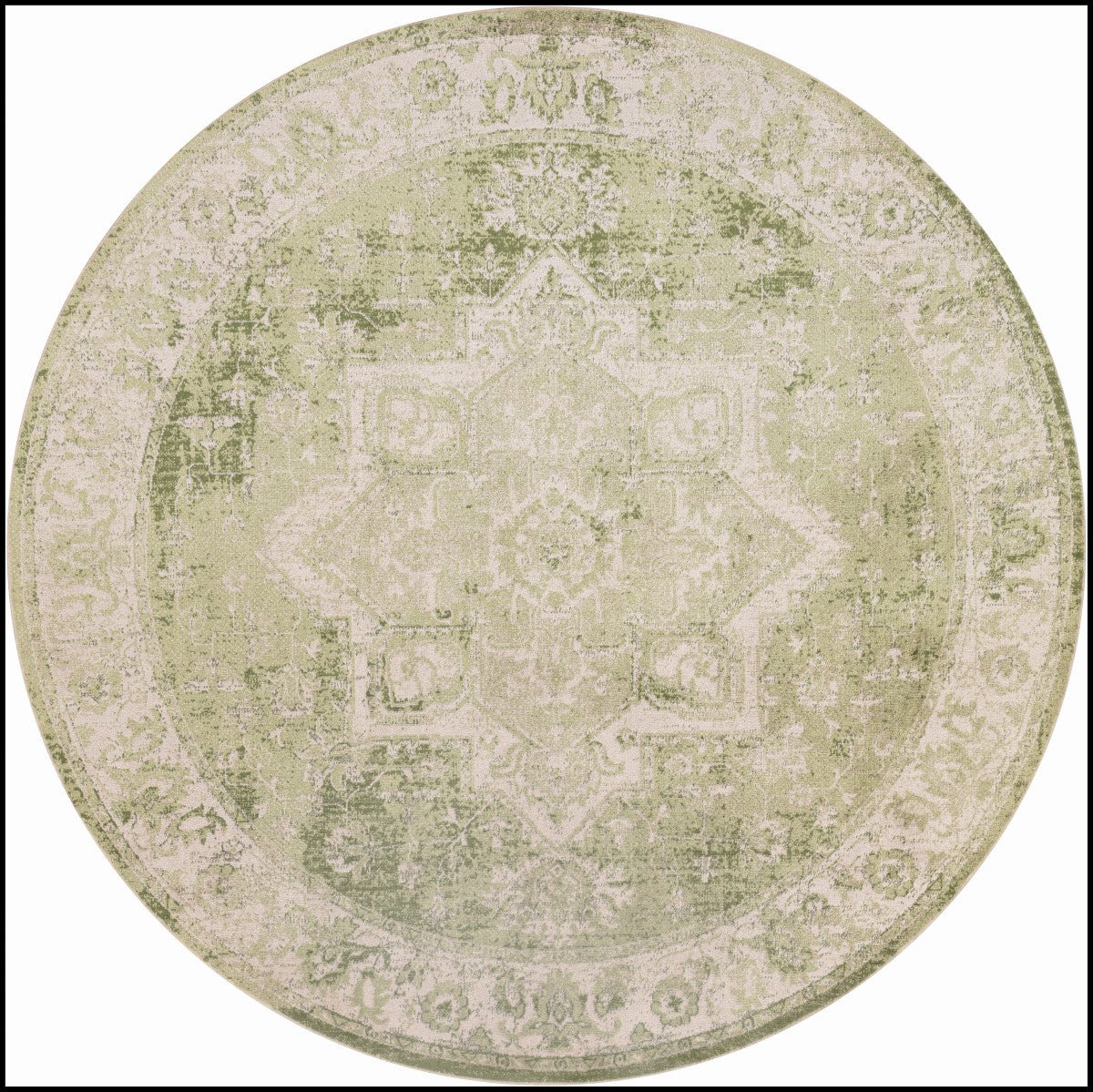 Nourison Astra Ivory & Green Pet Friendly Machine Washable Rug - 7'10" Round