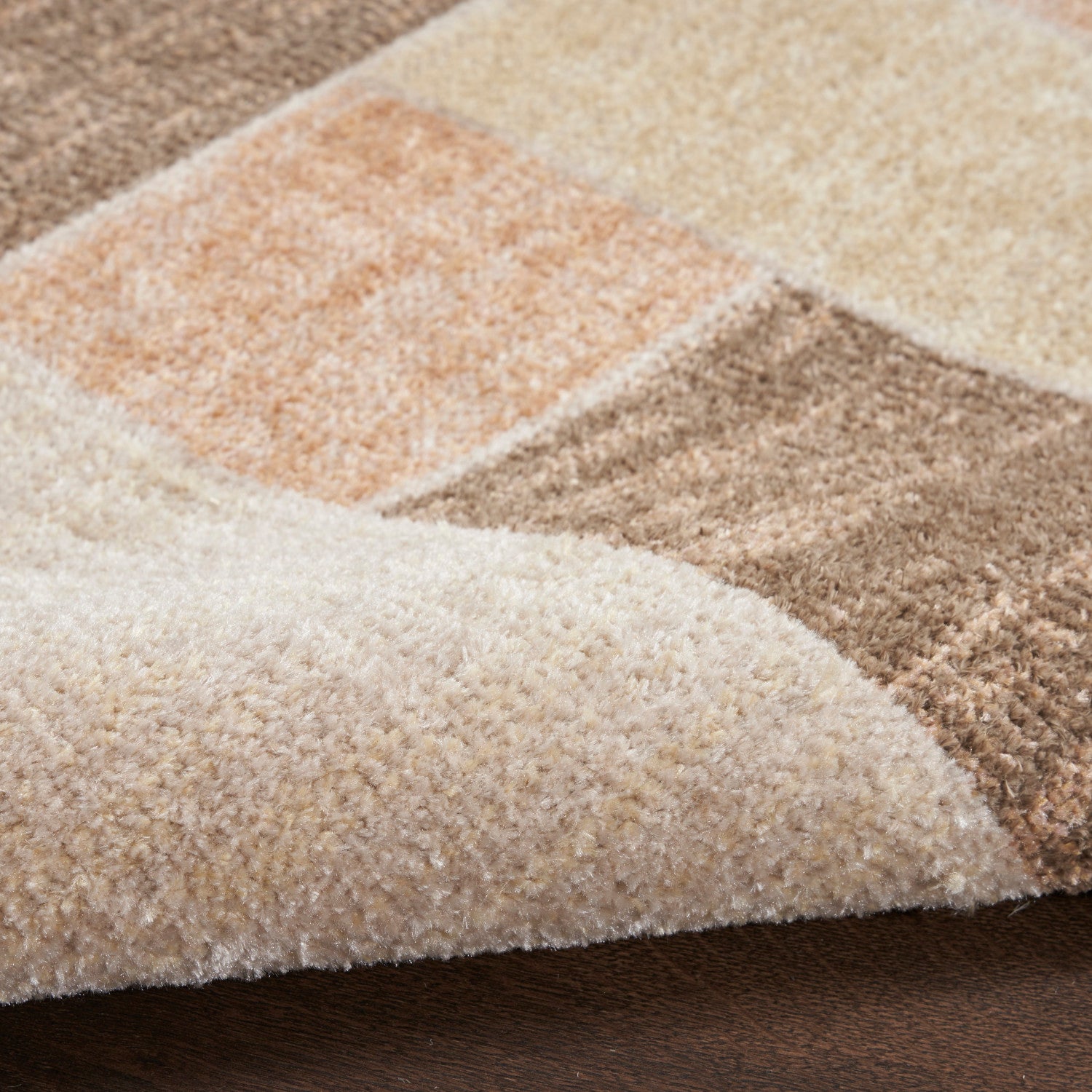 Nourison Astra Beige & Multicolor Pet Friendly Machine Washable Rug - Texture