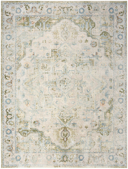 Nourison Astra Blue & Green Pet Friendly Machine Washable Rug - 6'7" x 9'