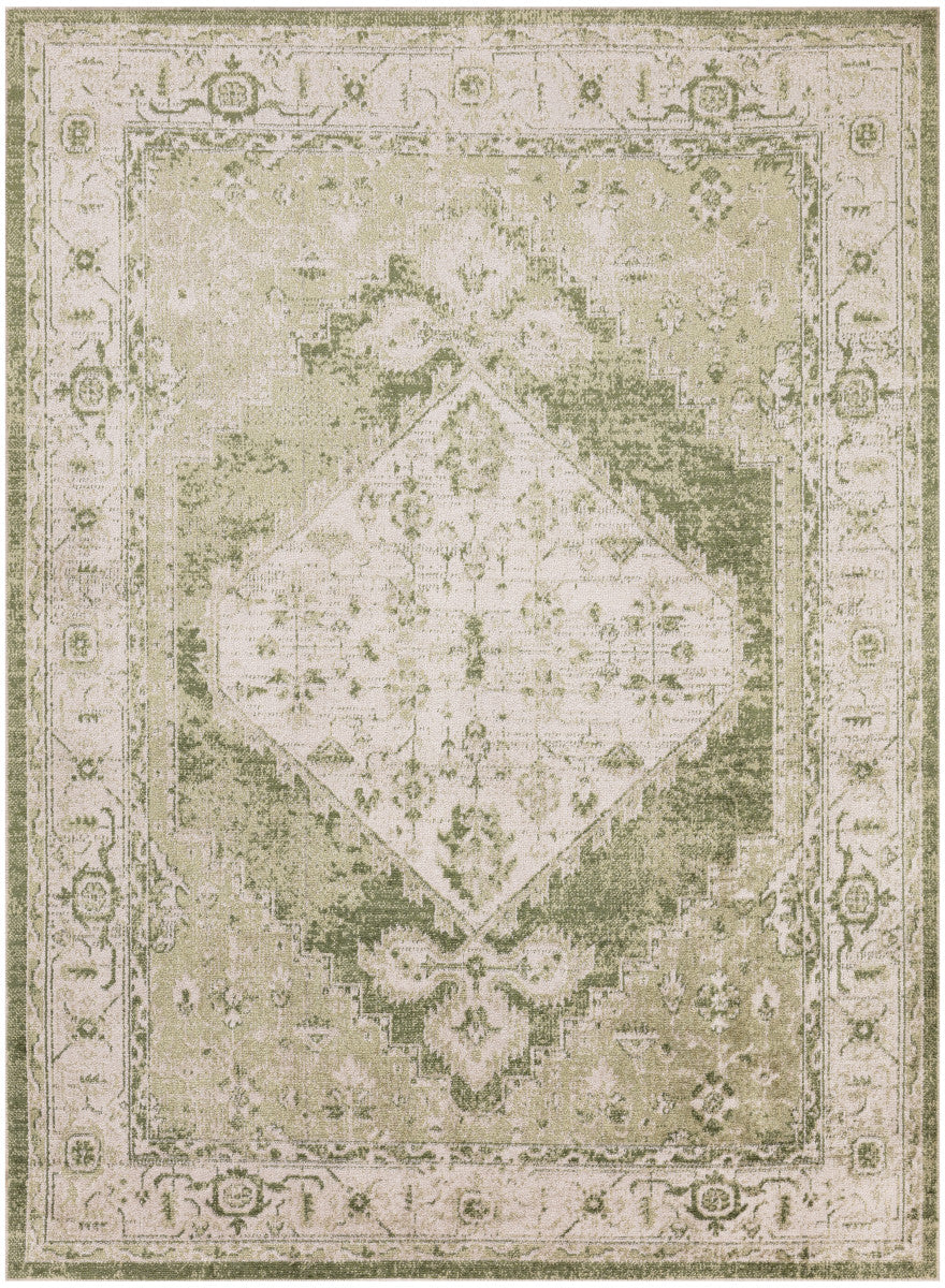 Nourison Astra Ivory & Green Pet Friendly Machine Washable Rug - 5'3" x 7'
