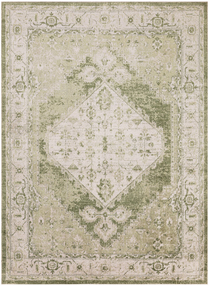 Nourison Astra Ivory & Green Pet Friendly Machine Washable Rug - 5'3" x 7'