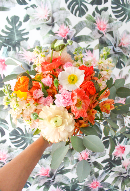 Rad Bromeliad Wallpaper - White