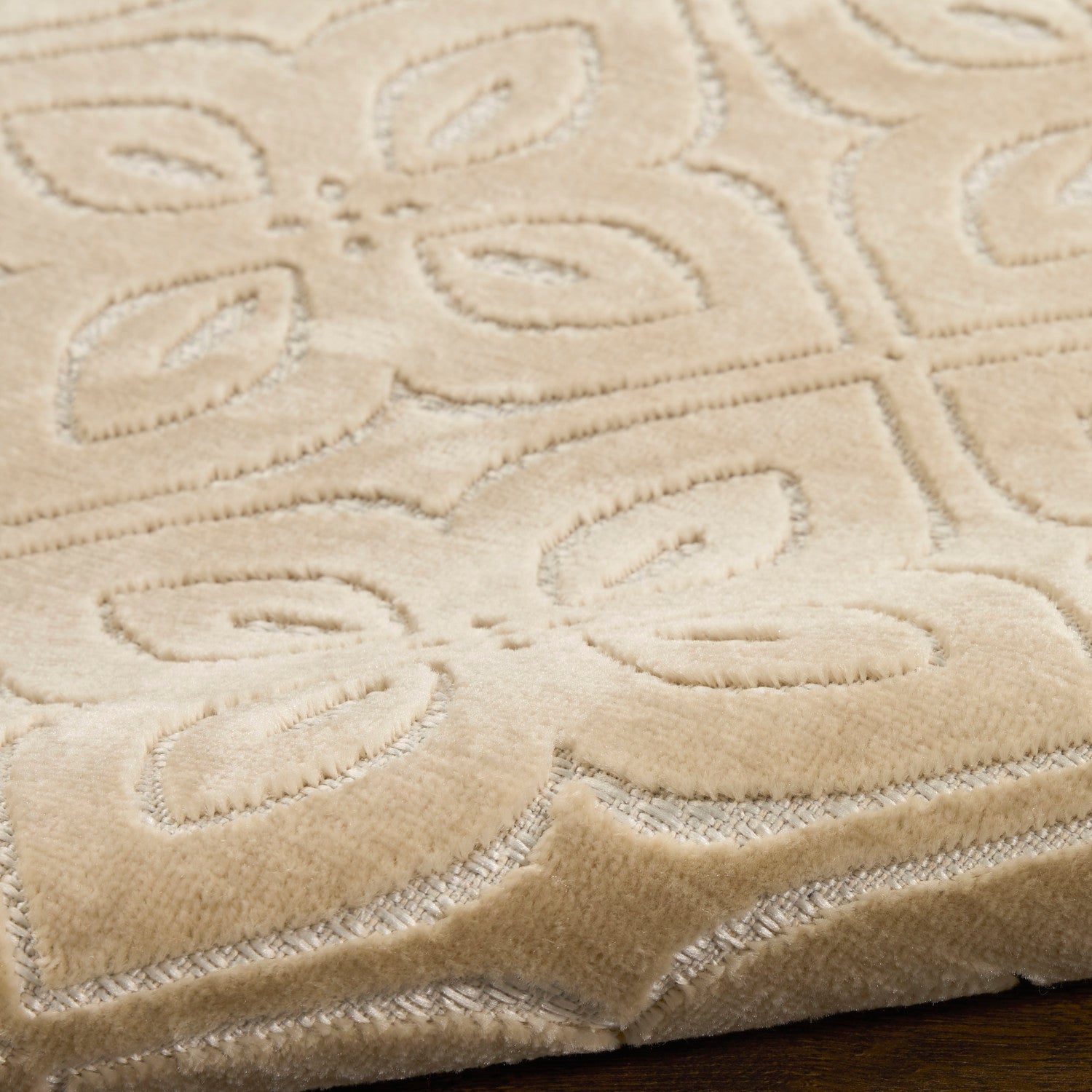Nourison Charm Beige & Ivory Pet Friendly Machine Washable Rug - Texture