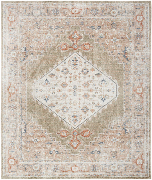 Nourison Astra Sage & Multicolor Pet Friendly Machine Washable Rug - Main