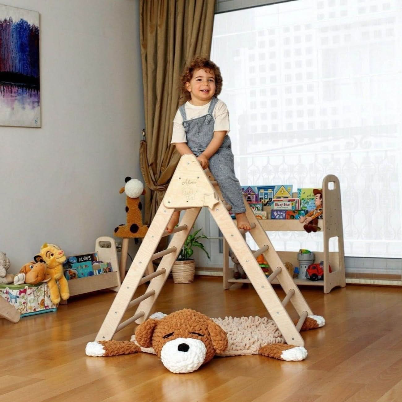 Montessori 4 Piece Climbing Set