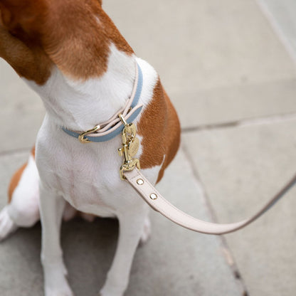 Vegan Leather Leash - Cupertino