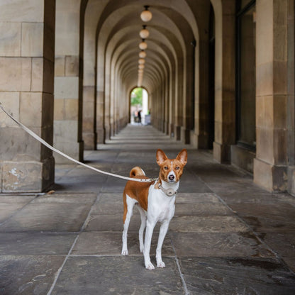 Vegan Leather Leash - Cupertino