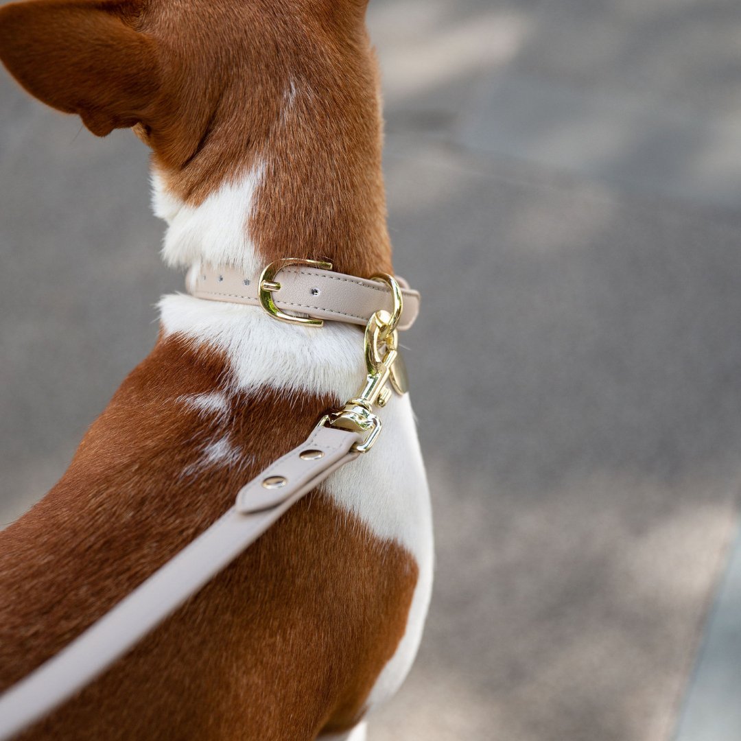 Vegan Leather Collar for Air Tag