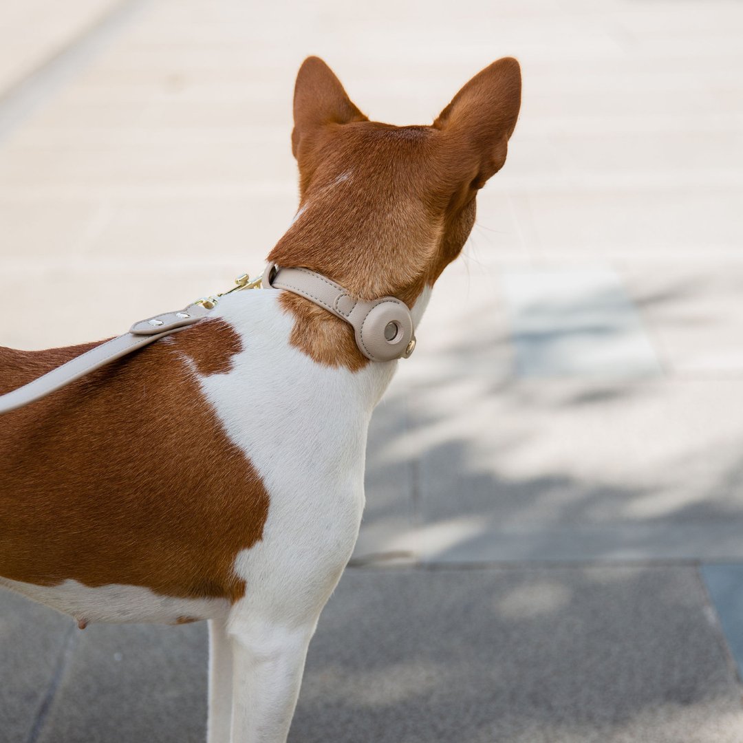 Vegan Leather Collar for Air Tag