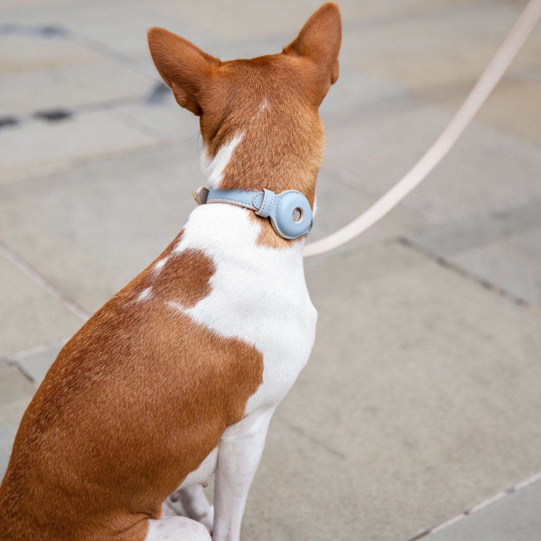 Vegan Leather Collar for Air Tag