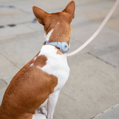 Vegan Leather Collar for Air Tag