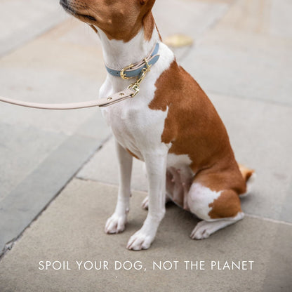Vegan Leather Collar for Air Tag