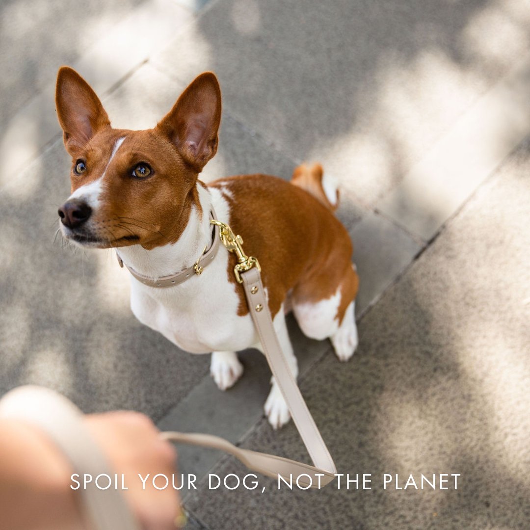 Vegan Leather Collar for Air Tag