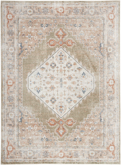 Nourison Astra Sage & Multicolor Pet Friendly Machine Washable Rug - 6'7" x 9'
