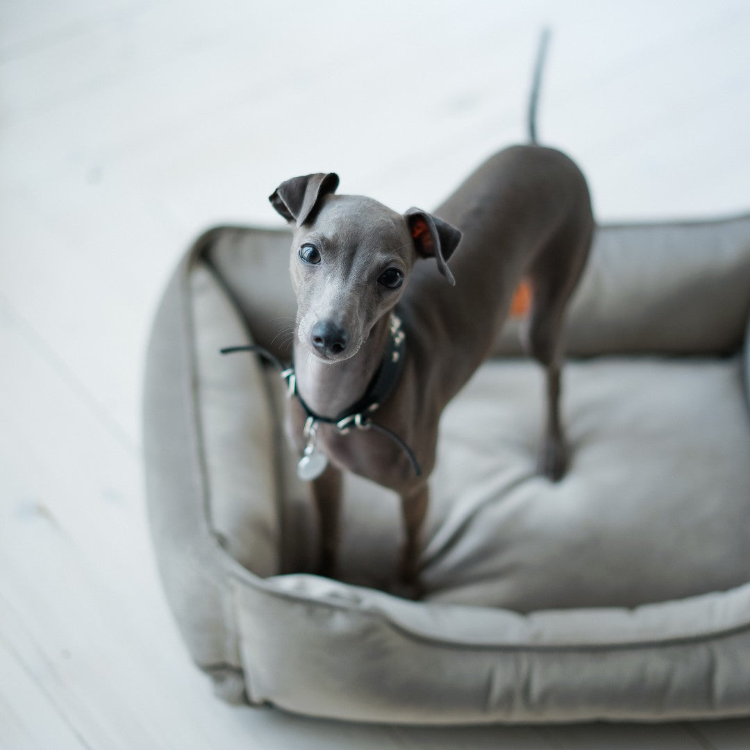 Gray Classic Velvet Sleeper Pet Bed