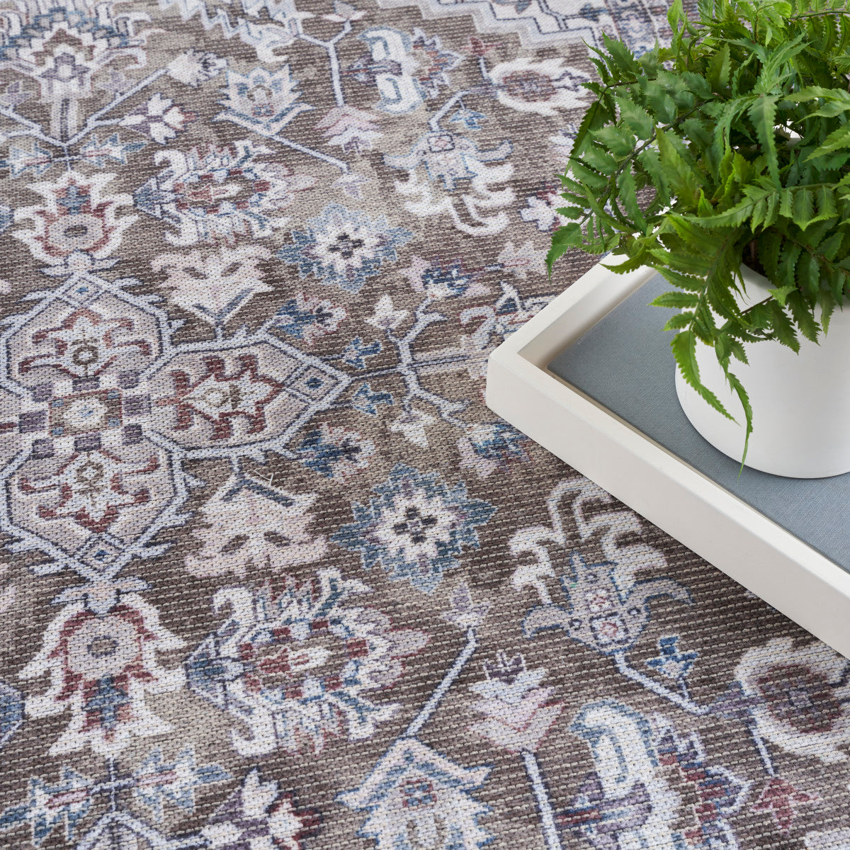 Nourison New Concept Olive & Ivory Machine Washable Rug - Room Scene