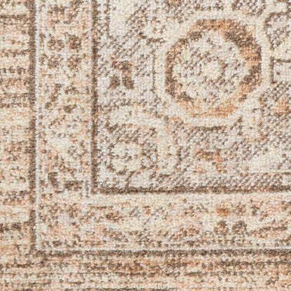 Nourison Astra Beige Pet Friendly Machine Washable Rug - Swatch