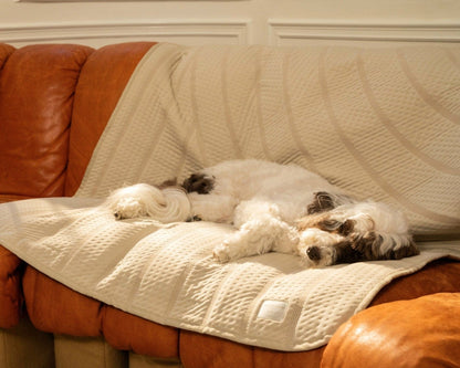 Brigette Romanek Luxury Pet Throw Blanket - Cream