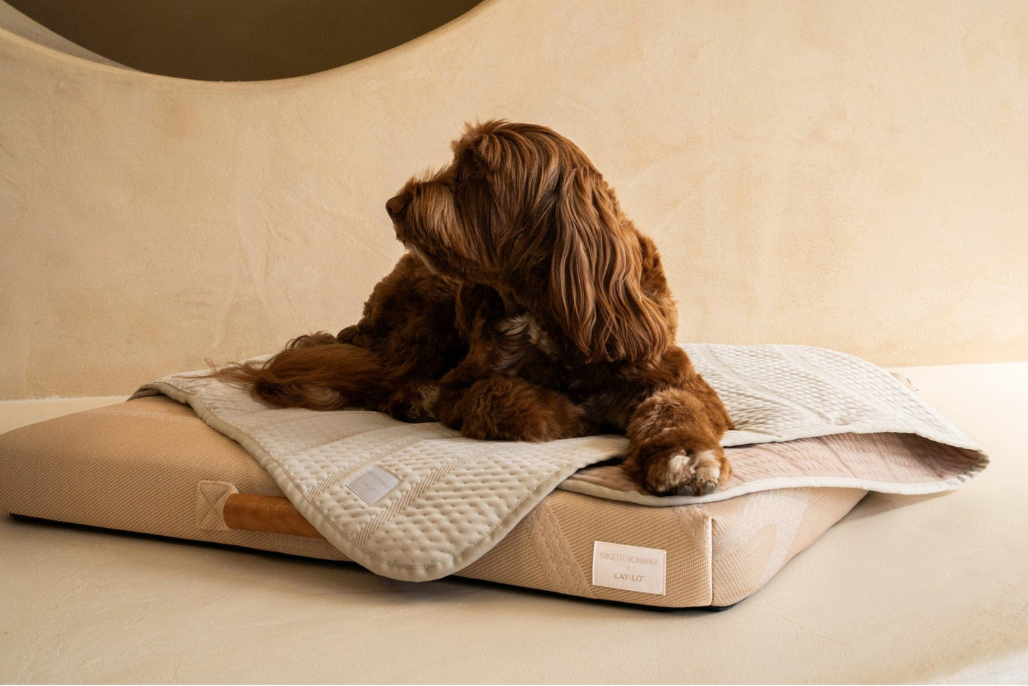 Brigette Romanek Luxury Pet Throw Blanket - Cream