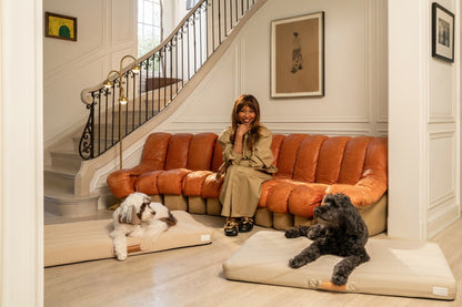 Brigette Romanek Taupe Dog Bed