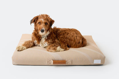 Brigette Romanek Taupe Dog Bed