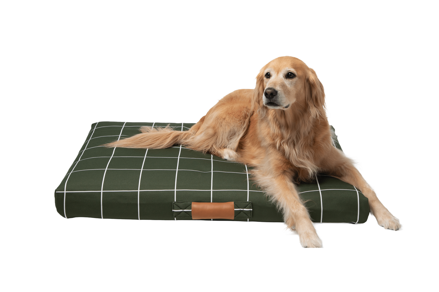 Hunter Green Grid Dog Bed