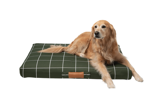 Hunter Green Grid Dog Bed