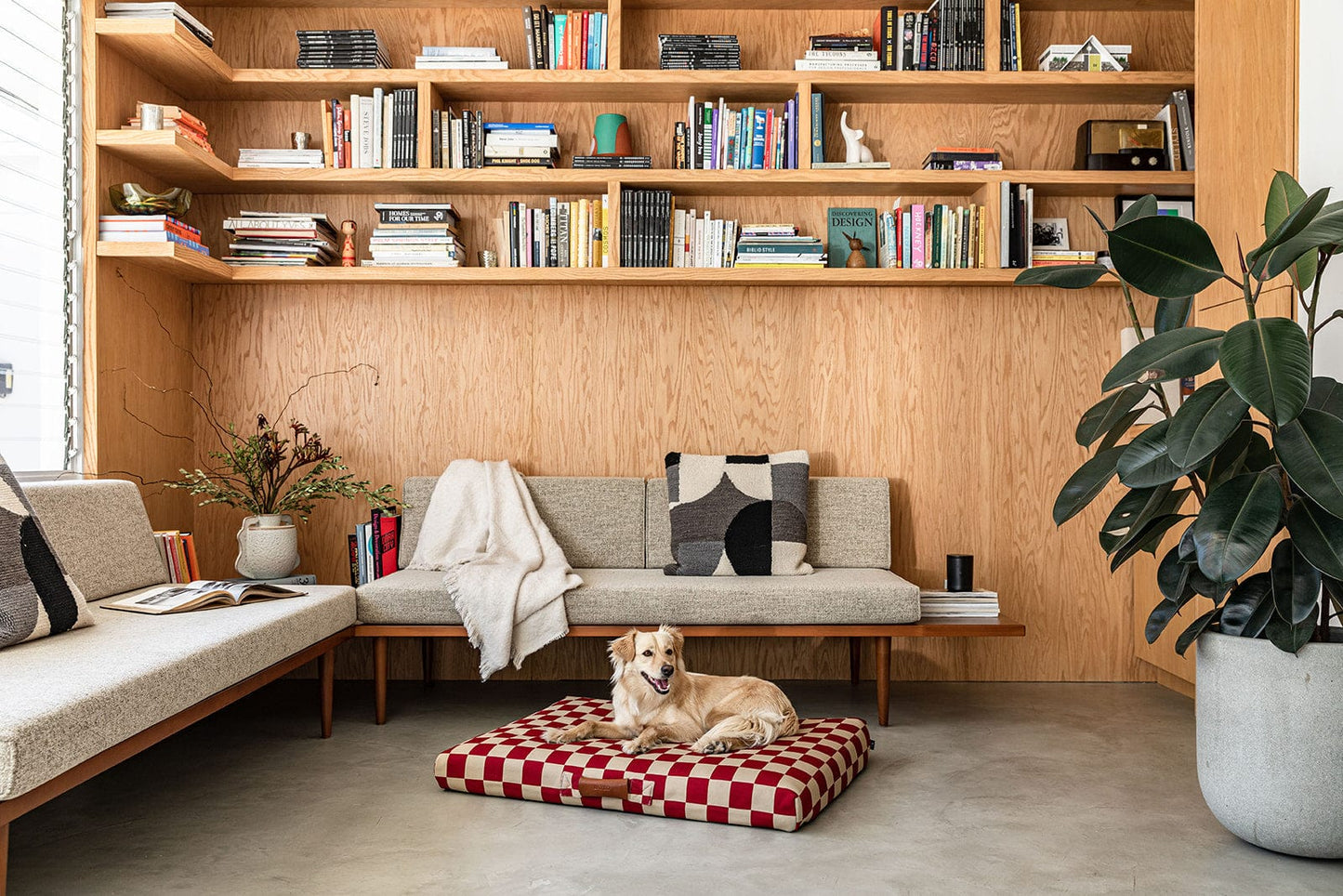 Red Checker Dog Bed