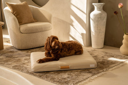 Brigette Romanek Cream Dog Bed