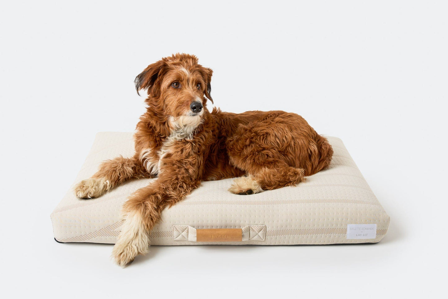 Brigette Romanek Cream Dog Bed