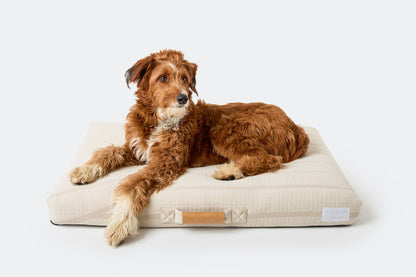 Brigette Romanek Cream Dog Bed