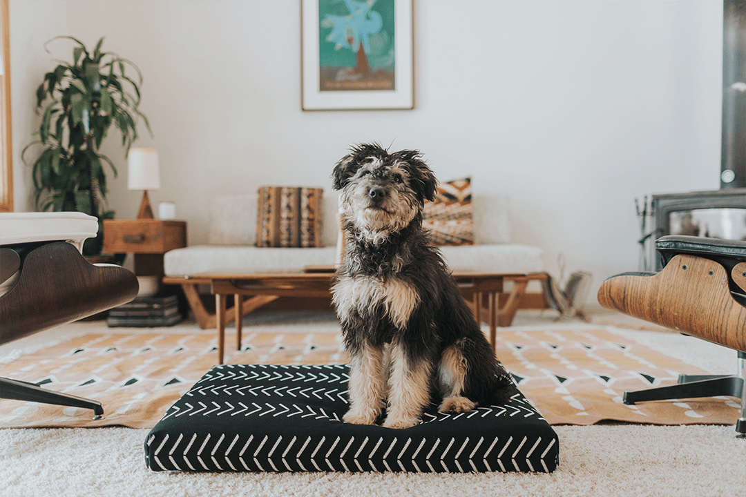 Black Chevron Boho Dog Bed