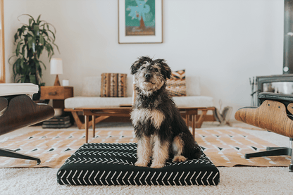 Black Chevron Boho Dog Bed