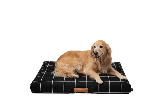 Black Grid Dog Bed