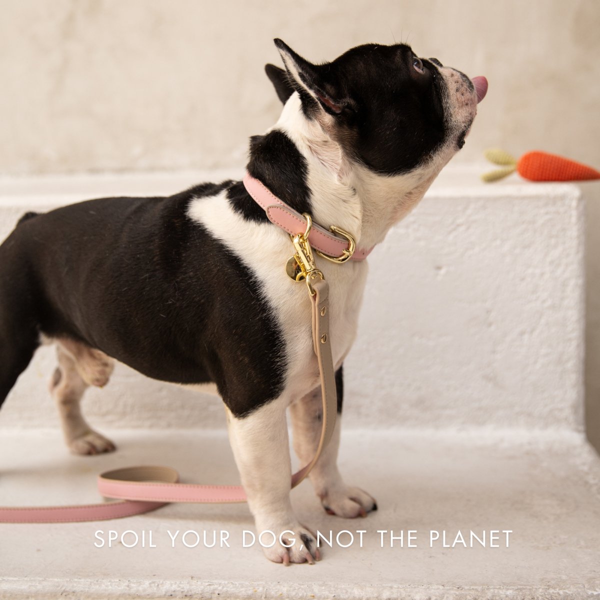 Vegan Leather Leash - Cupertino