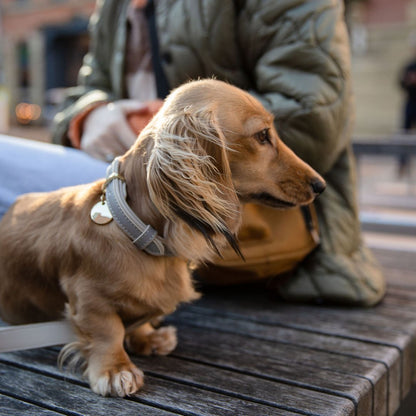 Vegan Leather Collar - London