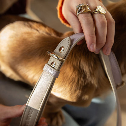 Vegan Leather Leash - Milan